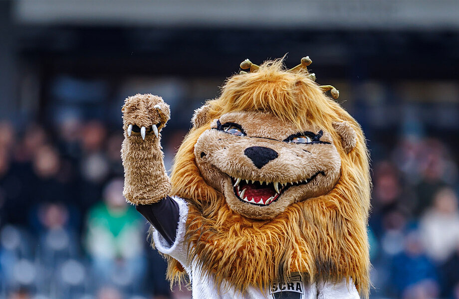 SCHWARZufWIEß - Ergebnisse, Natio & Co.