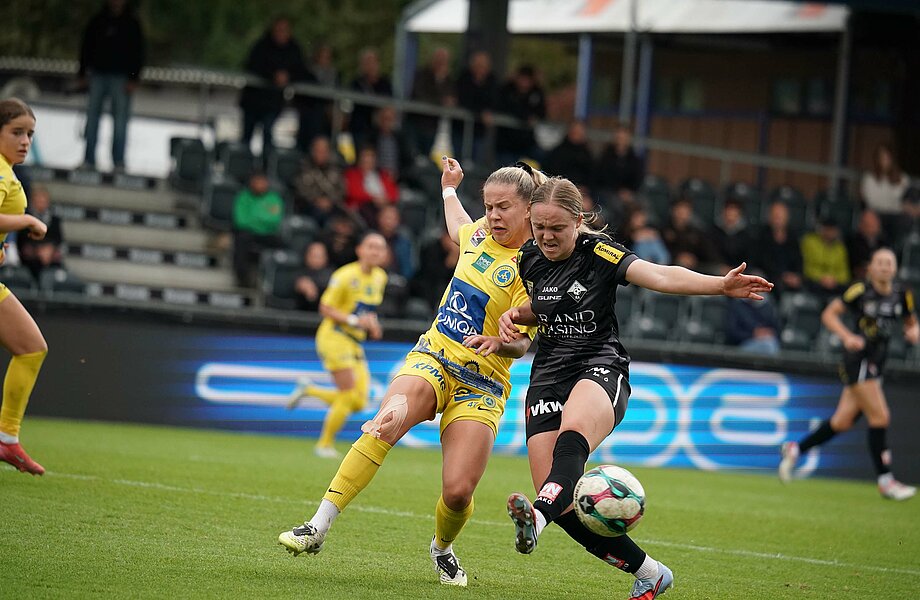 Frauen reisen nach Wien